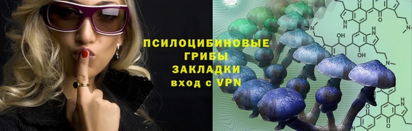 MDMA Premium VHQ Богородицк