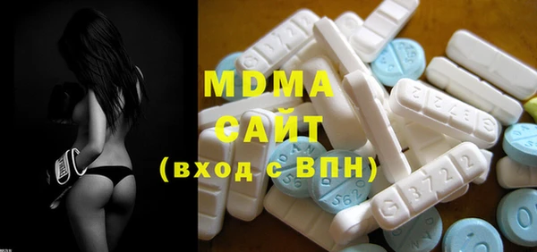 дмт Бородино