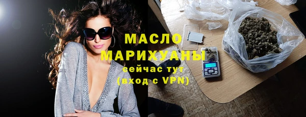 дмт Бородино